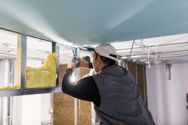 Best Types of Insulation in Ettrick, VA