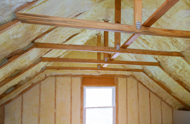 Best Residential Insulation in Ettrick, VA