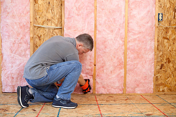 Best Insulation Maintenance and Repair in Ettrick, VA