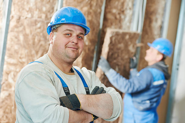 Best Commercial Insulation in Ettrick, VA
